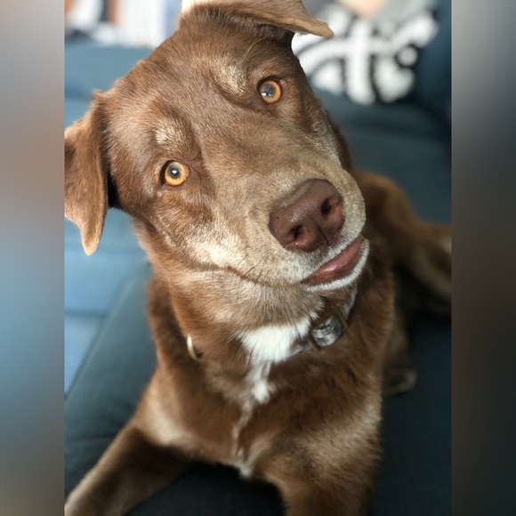 Meet your Posher, mindful shopper - Picture 1 of 1